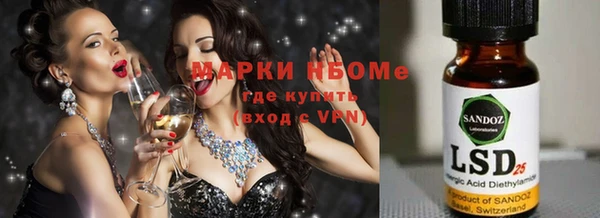 хмурый Мегион