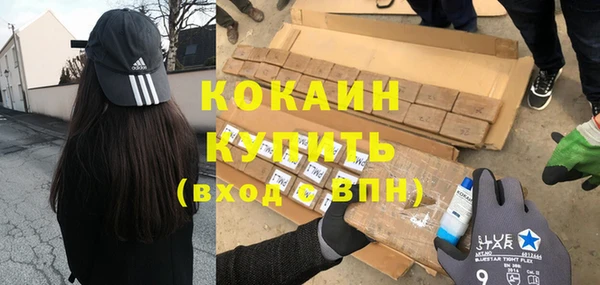 хмурый Мегион