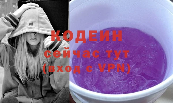 хмурый Мегион