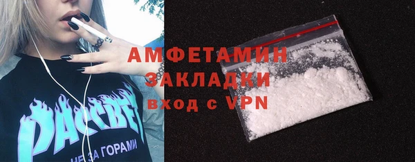хмурый Мегион