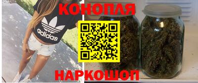 a pvp Гатчина