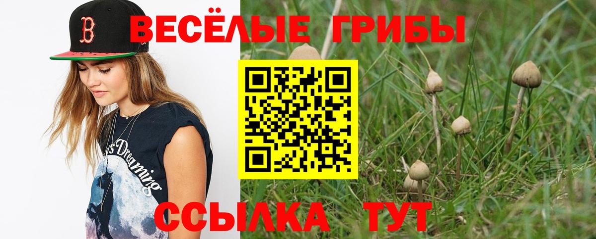 Псилоцибиновые грибы Magic Shrooms  Вход с VPN  Кострома 