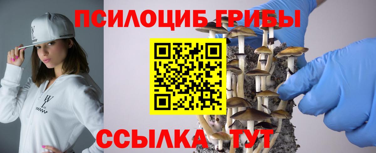 Псилоцибиновые грибы Psilocybine cubensis  что такое   Кострома 